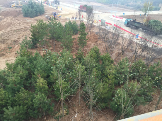 权门国际·(中国游)官方网站