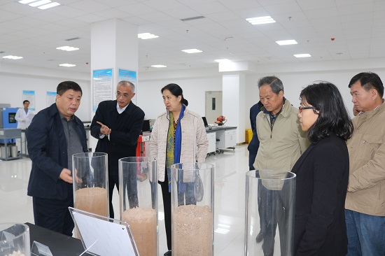 权门国际·(中国游)官方网站