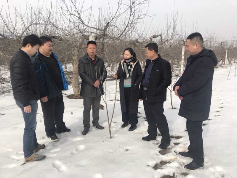 权门国际·(中国游)官方网站