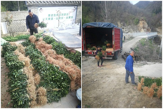 权门国际·(中国游)官方网站