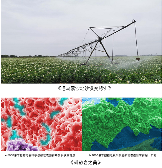 权门国际·(中国游)官方网站