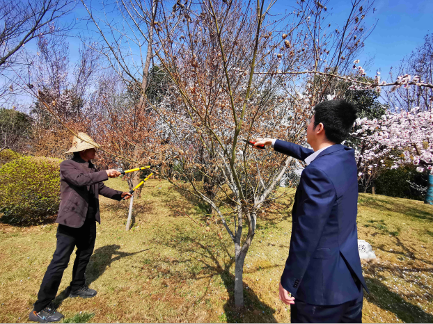 地建研究院组织开展植树护绿运动 -  豪门国际