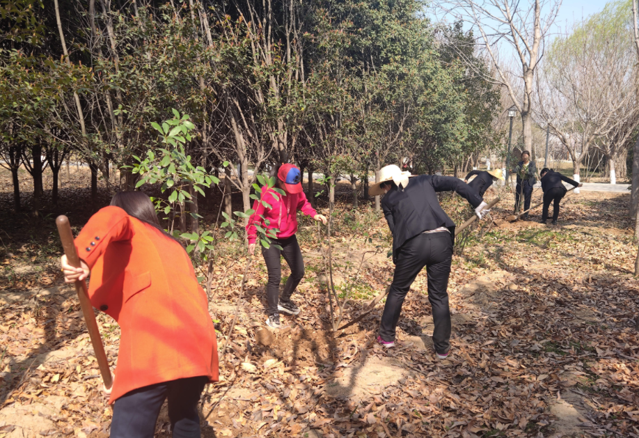 地建研究院组织开展植树护绿运动 -  豪门国际