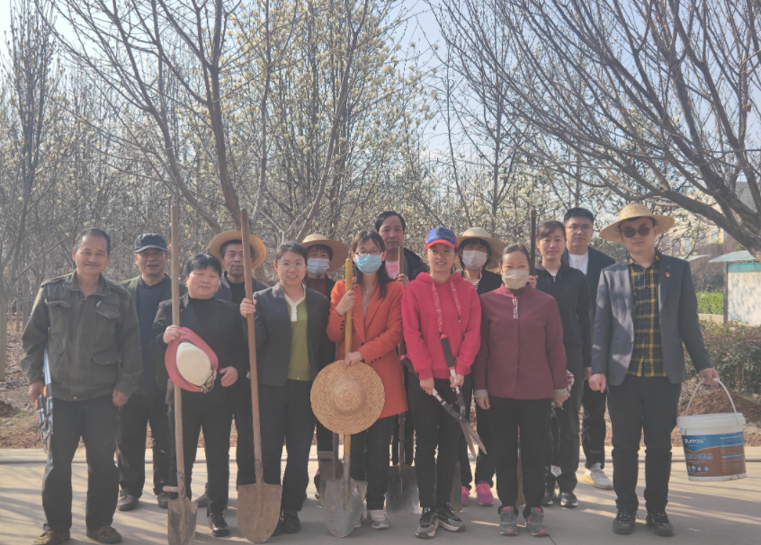 地建研究院组织开展植树护绿运动 -  豪门国际