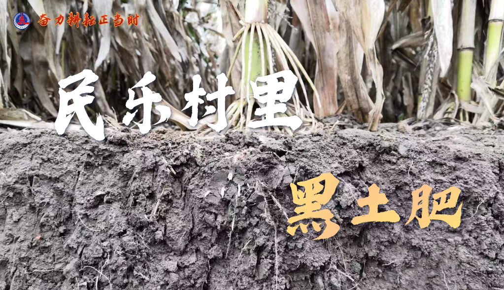 习近平总书记关切事|奋力耕作正其时——农业强国建设一线的四个故事 -  豪门国际