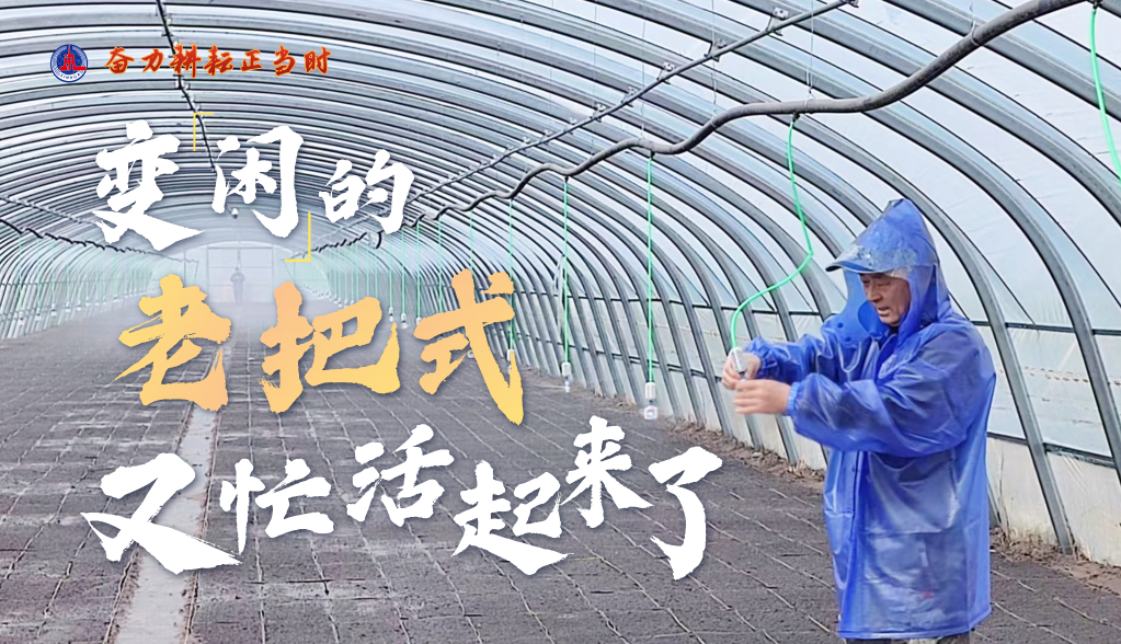 习近平总书记关切事|奋力耕作正其时——农业强国建设一线的四个故事 -  豪门国际