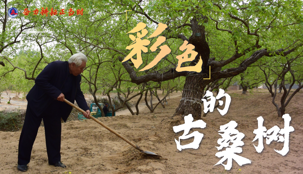 习近平总书记关切事|奋力耕作正其时——农业强国建设一线的四个故事 -  豪门国际