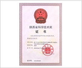 权门国际·(中国游)官方网站