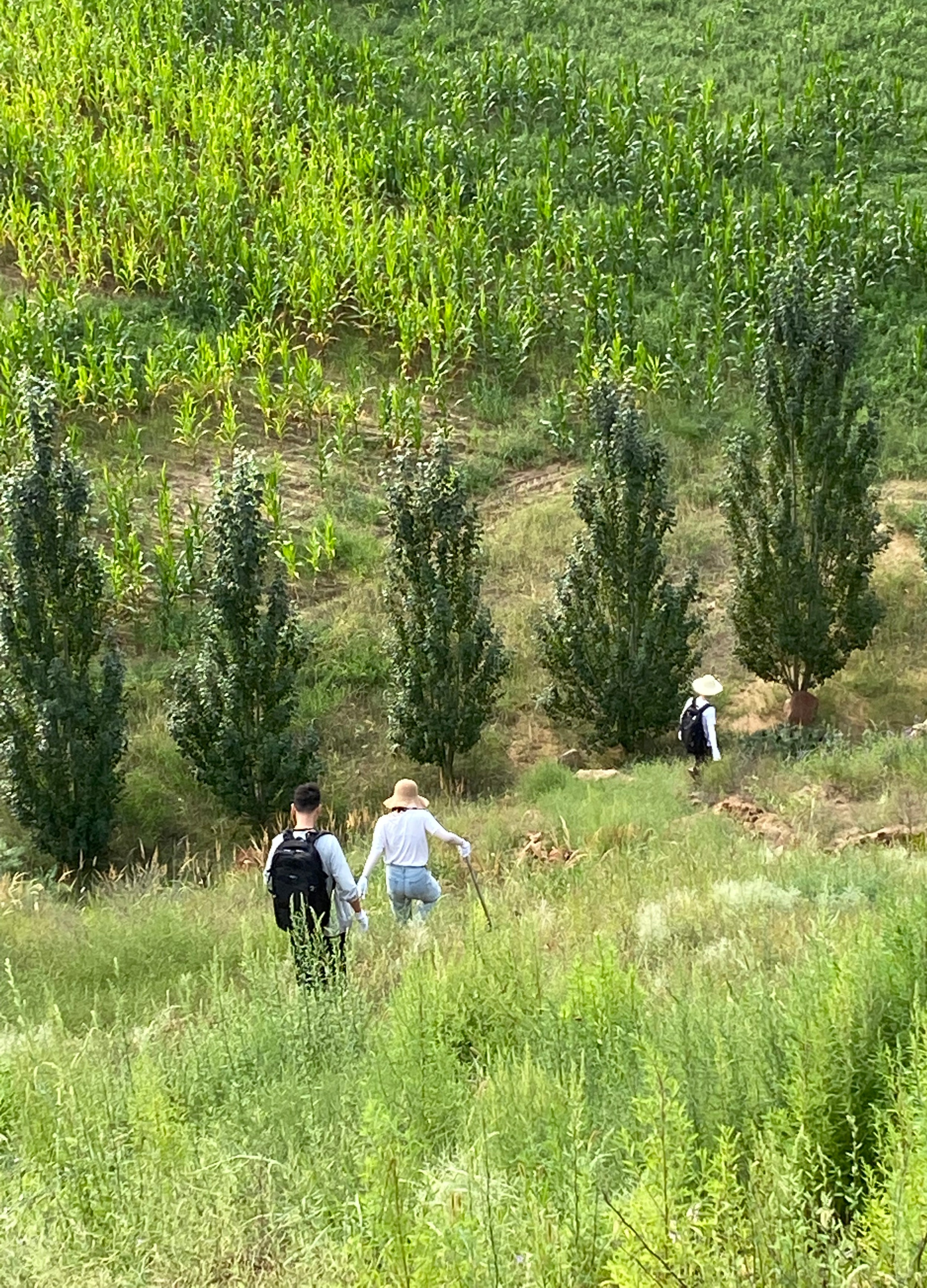 藏粮于地 藏粮于技 豪门国际