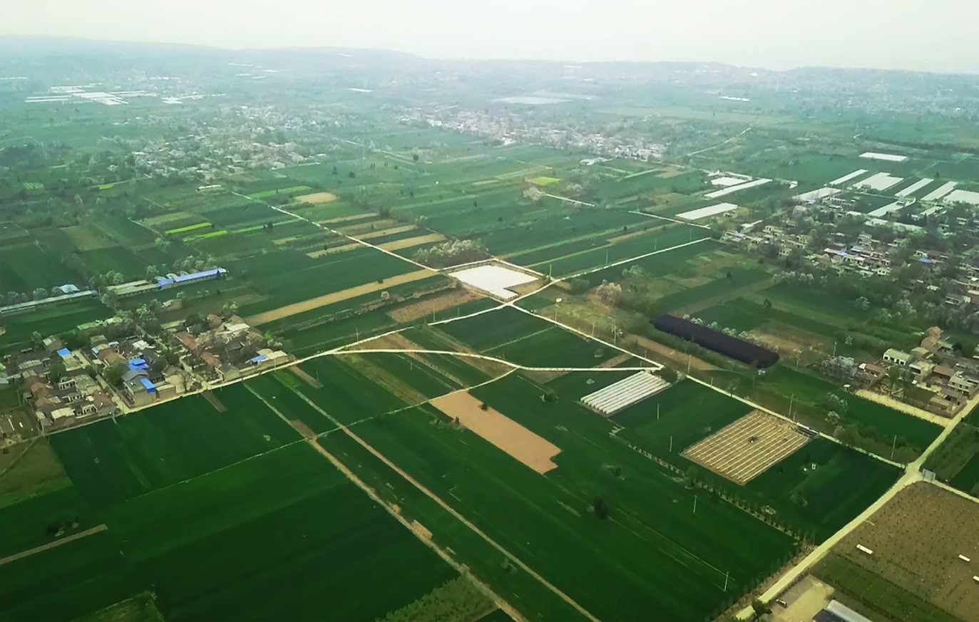 藏粮于地 藏粮于技 豪门国际