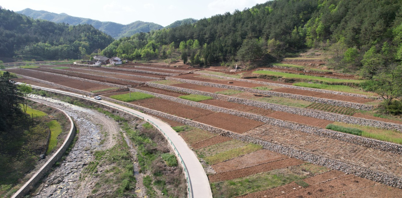 藏粮于地 藏粮于技 豪门国际