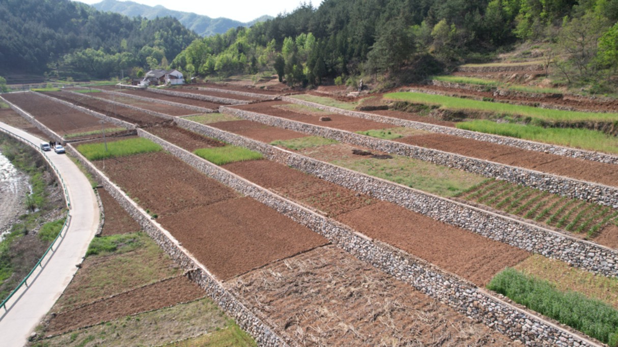 藏粮于地 藏粮于技 豪门国际