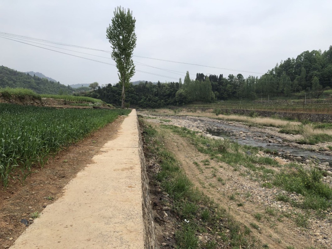 藏粮于地 藏粮于技 豪门国际