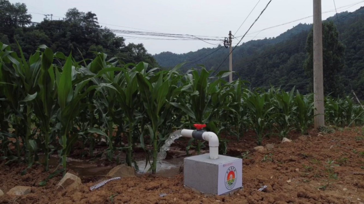 藏粮于地 藏粮于技 豪门国际