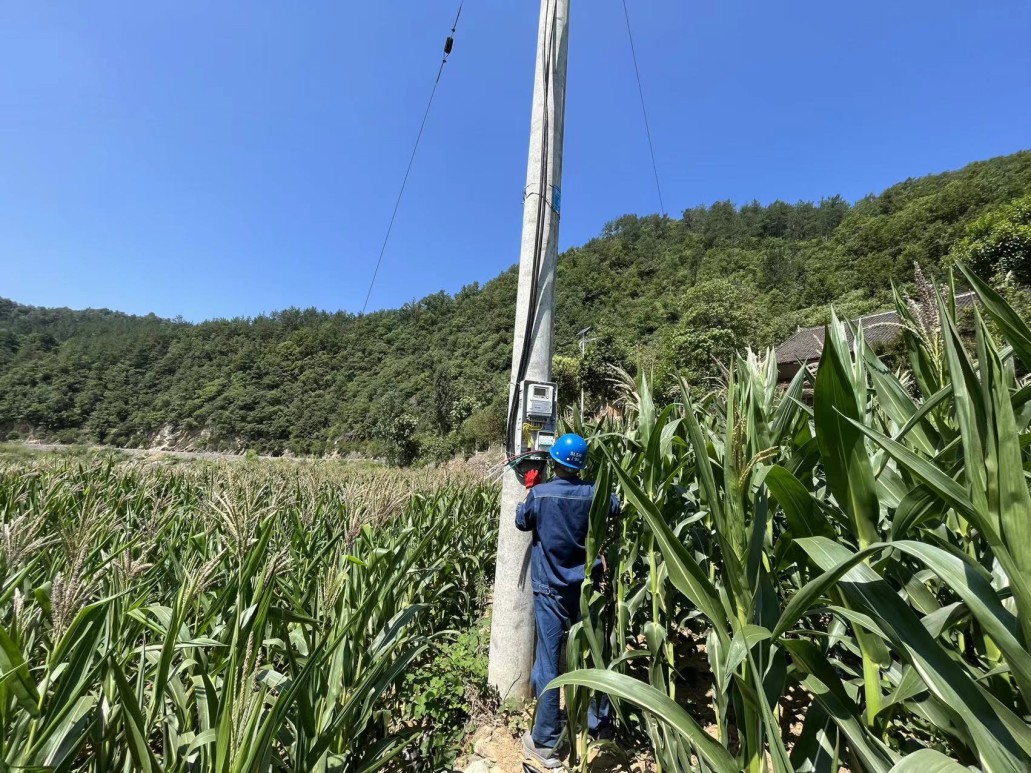 藏粮于地 藏粮于技 豪门国际