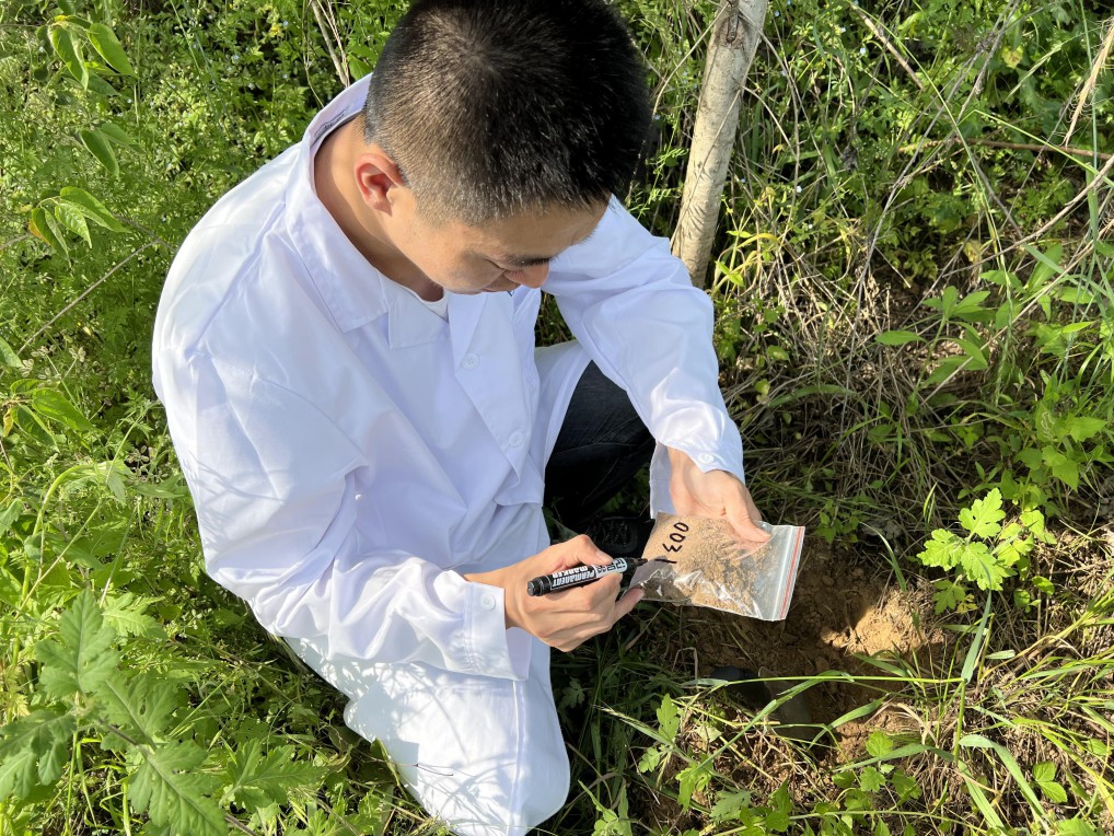 藏粮于地 藏粮于技 豪门国际