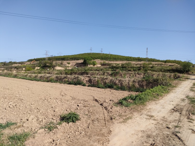 藏粮于地 藏粮于技 豪门国际