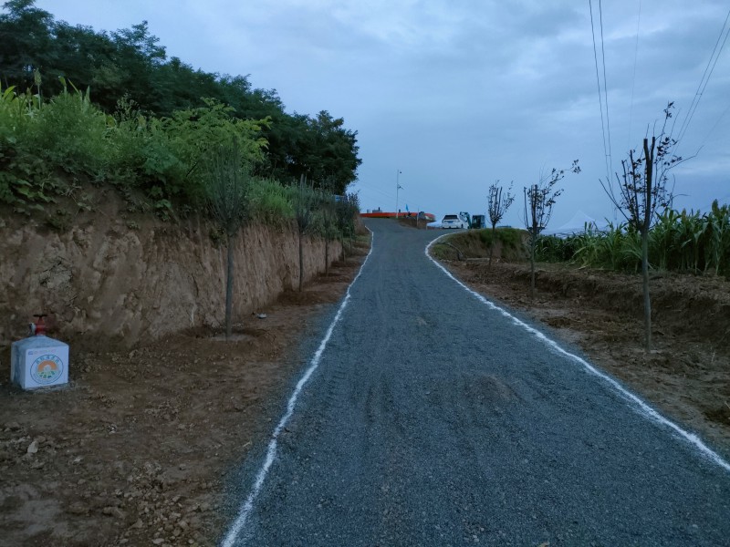 藏粮于地 藏粮于技 豪门国际