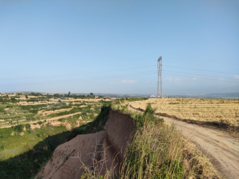 藏粮于地 藏粮于技 豪门国际