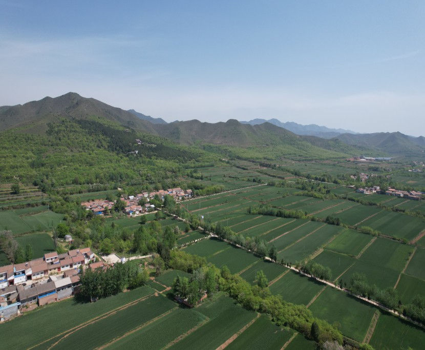 藏粮于地 藏粮于技 豪门国际