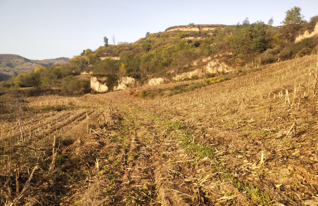 藏粮于地 藏粮于技 豪门国际