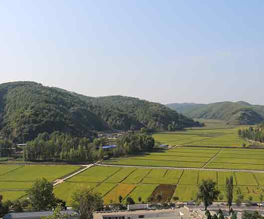 权门国际·(中国游)官方网站