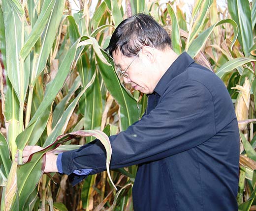 权门国际·(中国游)官方网站